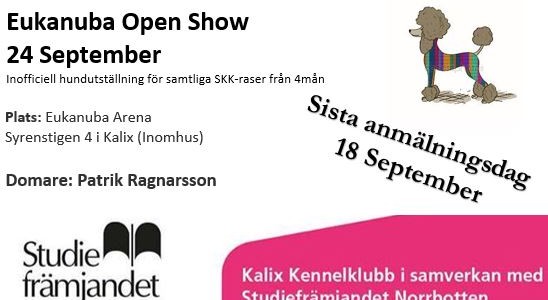 Eukanuba Open Show 24 September